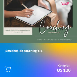 Sesiones de Coaching 1:1