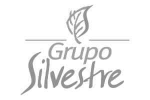 logo 14